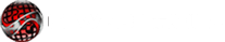 CI Web Group Digital Marketing Agency